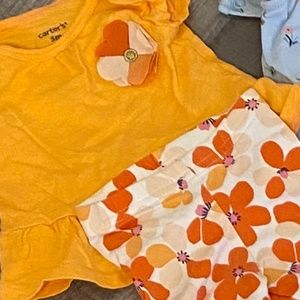 Orange flower set